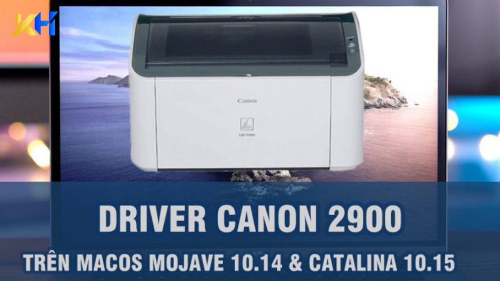 cài driver canon 2900